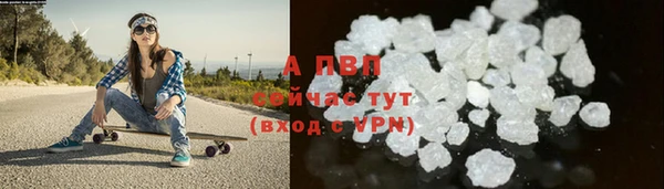гидропоника Бородино