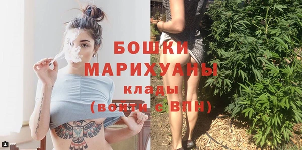 гидропоника Бородино