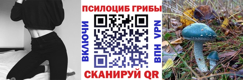 Псилоцибиновые грибы мицелий мега рабочий сайт Гулькевичи